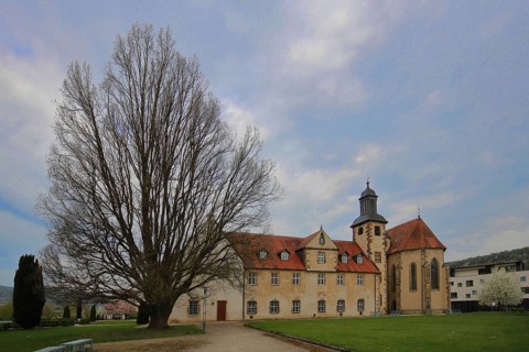 Former Cistercian Abbey, Klosterkirche, Haydau Abbey, Altmorschen, Knüllgebirge, Hesse, Germany
