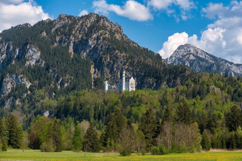 Neuschwanstein Castle against a dramatic mountain backdrop, surrounded by dense mixed forest under