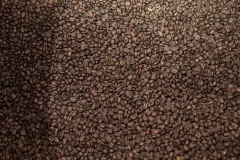 A close-up view of a large pile of freshly roasted coffee beans, highlighting their rich color and