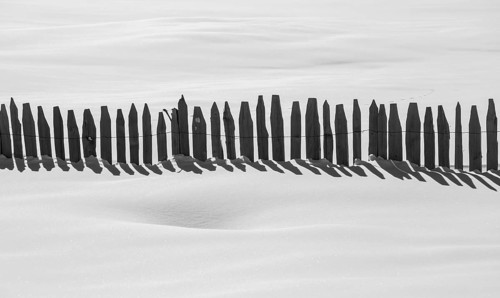 A monochrome image capturing a simple wooden fence casting long shadows across a pristine