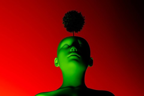 A silhouette of a human head features a vibrant tree emerging from the top, symbolizing thought,