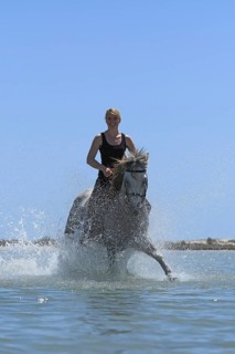 Riding holiday, Djerba, Tunisia, swimming with horses, riding, sea