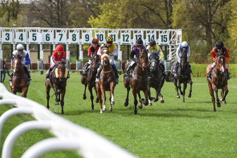 WROCLAW, POLAND - APRIL 15, 2018: Race for three years old horses III group at Racecourse WTWK