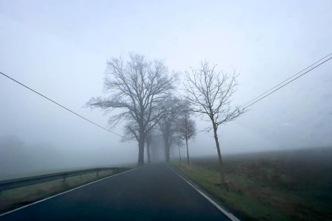 Driver's perspective view of foggy, foggy country road with trees next to the road in thick fog in