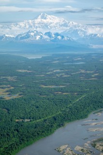 Aerial view, Mt Denali with river and forest, Alaska Range, Denali National Park, Alaska, USA