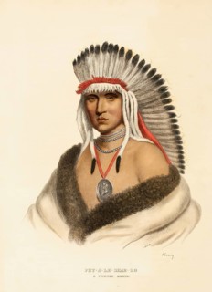 Pet-A-Le-Shar-Ro. A Pawnee Brave (ca. 1837-1844), Native American, Historical Native American