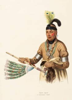 Naw-Kaw. A Winnebago Chief (ca. 1837-1844), Native American, Historical Indian Tribes of North