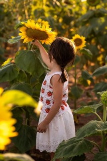 A child in a white crochet dress with red accents gently touches a sunflower. The garden is bathed