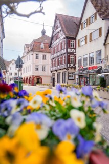 Colourful alley with blooming flowers and half-timbered houses in a historic town, Nagold, Black