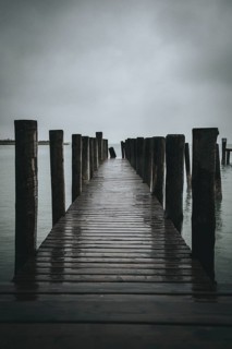 A long wooden footbridge leads into the misty water, surrounded by a peaceful atmosphere,