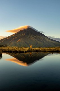 Back view of unrecognizable person with arms raised admiring the stunning sunrise reflection of