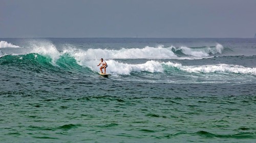 A surfer rides a wave in the vast ocean, surfers in the Indian Ocean near bile in Sri Lanka