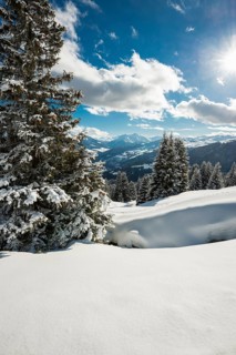 Snow-covered winter landscape, above Flims and Laax, view of the Vorderrheintal, Canton of