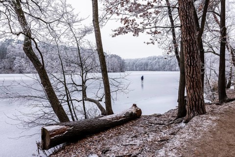 Ice skaters on the frozen Schlachtensee, Zehlendorf, Berlin, Germany
