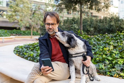 A man and his dog spend quality time together in a city park. The man, clad in a smart coat and