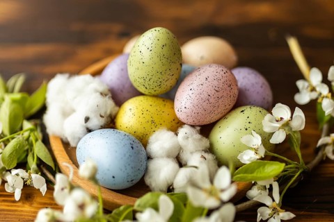 A vibrant assortment of pastel Easter eggs nestled among delicate white blossoms and soft cotton on