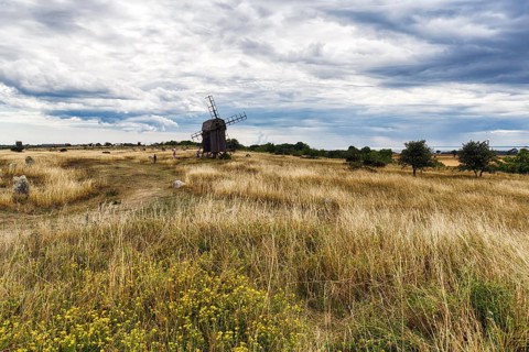 Picturesque landmark, dry grassland, Alvar, historic trestle windmill, Stora Alvaret, UNESCO World