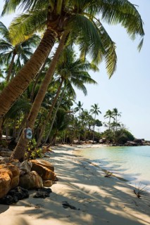 Sandy beach beach with coconut palms, Haad Khlong Hin Beach, Koh Kood, Koh Kut, Gulf of Thailand,