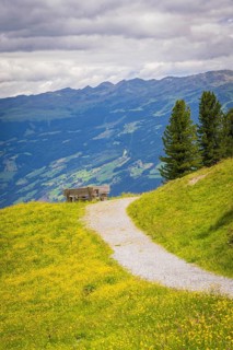 Narrow hiking trail leads to a bench with breathtaking mountain views and surrounded by green