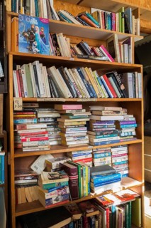 Various books displayed in bookcase for sale inside second hand goods and chattels store, Quebec,