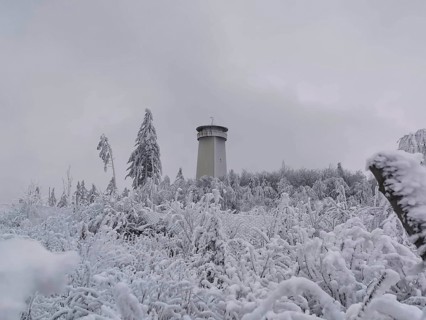 Snowy tower and trees on a grey winter day, Thüringer Warte, Frankenwald nature park Park