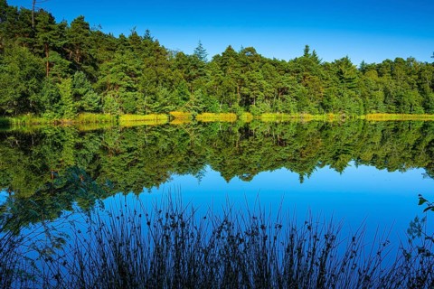 Diana See in the Ahlhorner Fischteiche Nature Reserve, Wildeshausener Geest, Ahlhorn, Lower Saxony,