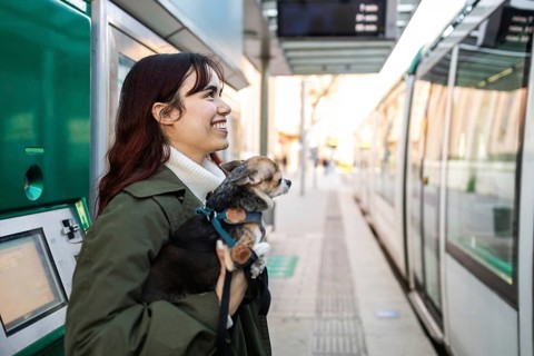 Smiling woman holding a small chihuahua at a tram station, excited to board a tram. The scene