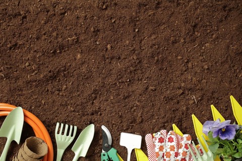 A variety of gardening tools, including gloves, spades, and a hose, are arranged on a soil