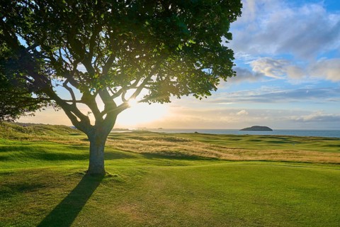 Sunbeams through tree in landscape with view of island in sea, golf course, North Berwick, East