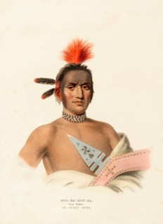 Moa-Na-Hon-Ga. Great Walker. An Ioway Chief (ca. 1837-1844), Native American, Historical Native