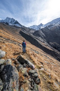 Mountaineer on a hiking trail in Niedertal, snow-covered mountain peaks of the Ötztal Alps with