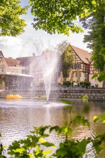 An active fountain in a lake surrounded by traditional houses and green trees in summer, Stadtpark