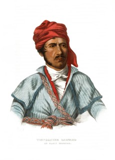 American Indian, Native American, Timpoochee Barnard, Warrior of the Uchee Tribe, United States of
