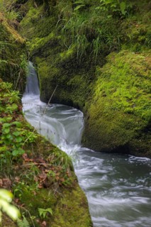 Flowing, silky water with ferns and rocks in the Edmunds Gorge, river Kamnitz, Hrensko, Ustecky