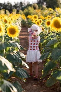 A young girl in a white dress and sunhat walks through a bright sunflower field, surrounded by tall