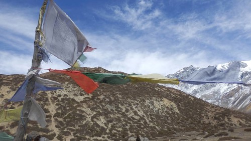 Fanned prayer flags fly against a cloudy sky over a mountainous landscape, trekking at Annapurna