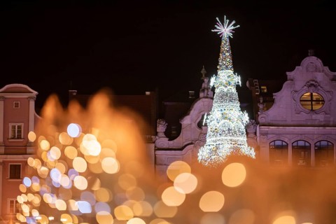 Christmas fair in the market square of Wroclaw, Poland. Christmas tree behind lights which gift