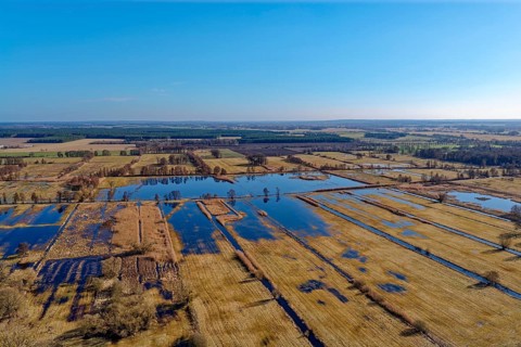 Moats and wetlands in the UNESCO Drömling Biosphere Reserve in the Altmark near Mieste on a sunny