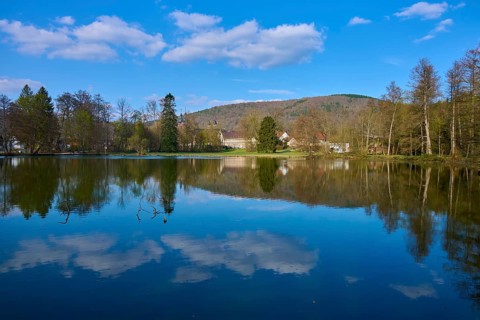 A calm lake reflects the blue sky and surrounding trees, Seegarten, Amorbach, Odenwald, Bavaria,