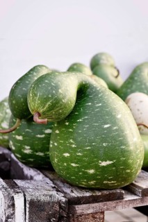 Green Kalebasse 'Speckled Swan' gourds on wooden rack