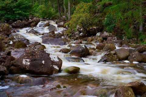 Fast flowing river with rocks in a green wooded area, Scotland, United Kingdom, Great Britain