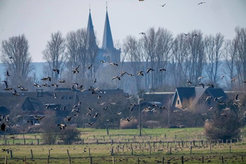 Bislicher Insel, nature reserve on the Rhine, Altrheinarm, near Xanten, Lower Rhine, Wesel