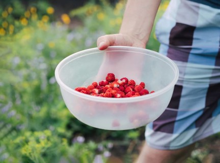 A man holds a clear bowl filled with freshly picked strawberries. The background features a lush