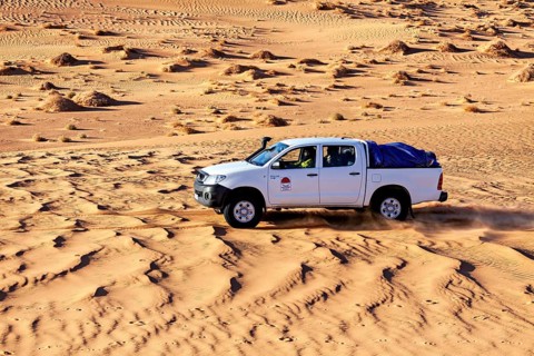 A white pickup drives rapidly through the sandy waves of the desert landscape, off-road through the
