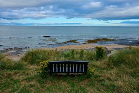 A bench looks out at the sea and rocky coastline under a cloudy sky, Seahouses, Northumberland,