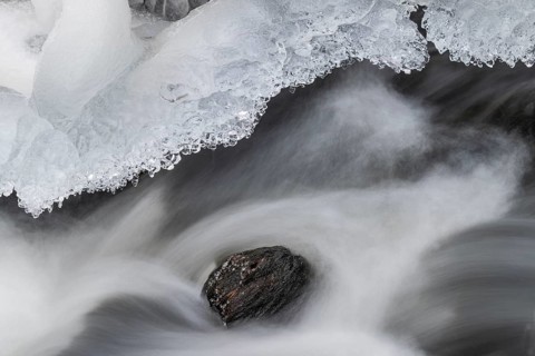 Ice formations on a flowing stream, Alvdal, Hedamrk, Innlandet, Norway, November 2025