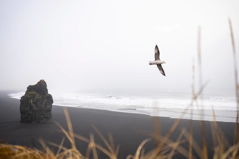 A tranquil scene from Reynisfjara Beach, Iceland, showcasing a solitary basalt sea stack against a