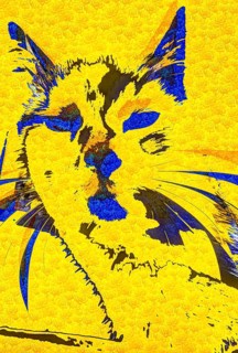 Michas Cats, art, mixed media, artist Michael Preyer, abstract cat portrait, portrait, cat head,