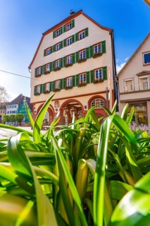 A house façade with green shutters, flanked by lush greenery in bright sunshine, Weil der Stadt,