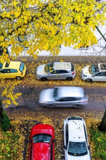 Autumn, rainy weather, residential street, parked vehicles, wet leaves on the street, pavement,
